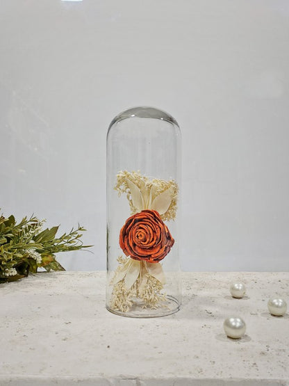 Glass Dome Cloche With Wooden Base 3 x 8 Inch